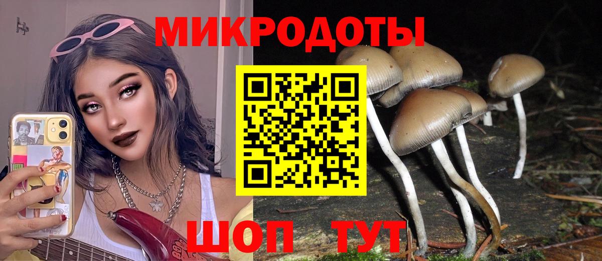 Серпухов  Галлюциногенные грибы ЛСД  Вход с VPN 
